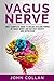 vagus nerve by Jhon Collan