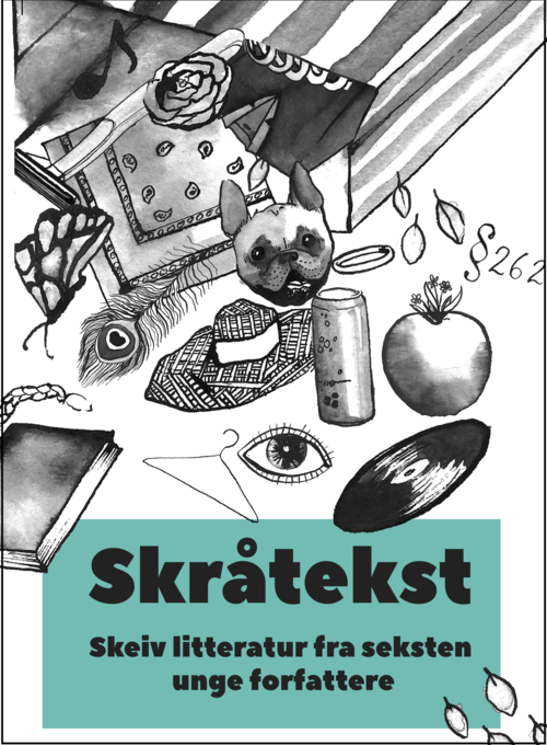 Skråtekst: Skeiv litteratur fra seksten unge forfattere (Paperback)