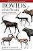 Bovids of the World: Antelo...