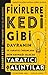Fikirlere Kedi Gibi Davranin