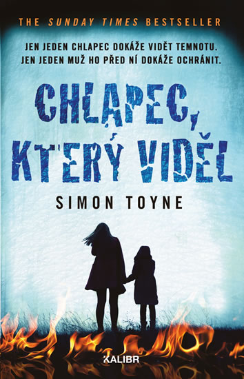 Chlapec, který viděl (Solomon Creed #2)