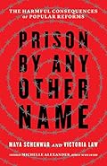 Prison by Any Other Name: The Harmful Consequences of Popular Reforms