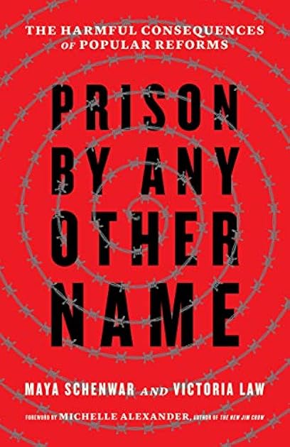 Prison by Any Other Name: The Harmful Consequences of Popular Reforms