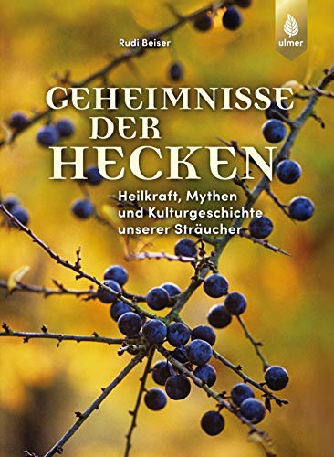 Geheimnisse der Hecken: Heilkraft, Mythen und Kulturgeschichte unserer Sträucher (German Edition)