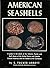 American Seashells