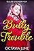 Bully Trouble