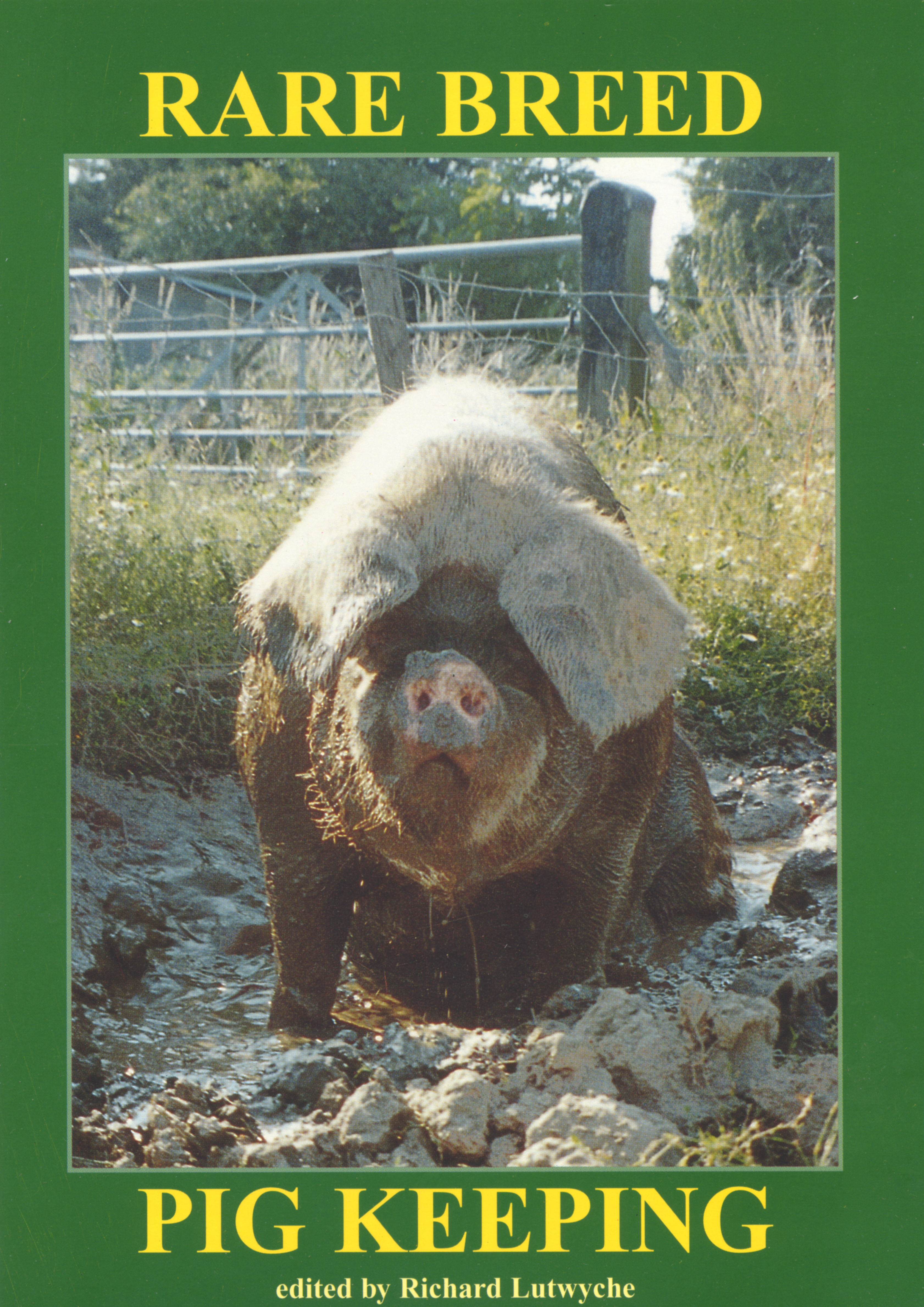 Rare Breed Pig Keeping