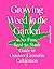 Growing Weed in the Garden: A No-Fuss, Seed-to-Stash Guide to Outdoor Cannabis Cultivation