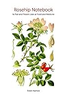 Rosehip: A Foraging Guide