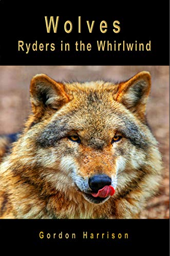 Wolves: Ryders in the Whirlwind (Kindle Edition)