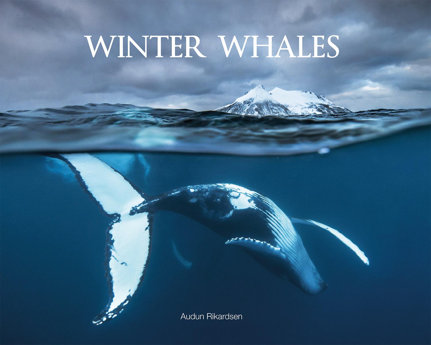 Winter whales (Hardcover)