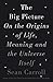 The Big Picture: On the Origins of Life, Meaning, and the Universe Itself