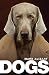 Dogs: A Philosophical Guide to Our Best Friends