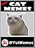 1300+ Cat Memes