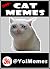 1300+ Cat Memes by @YoiMemes IG YT TikTok