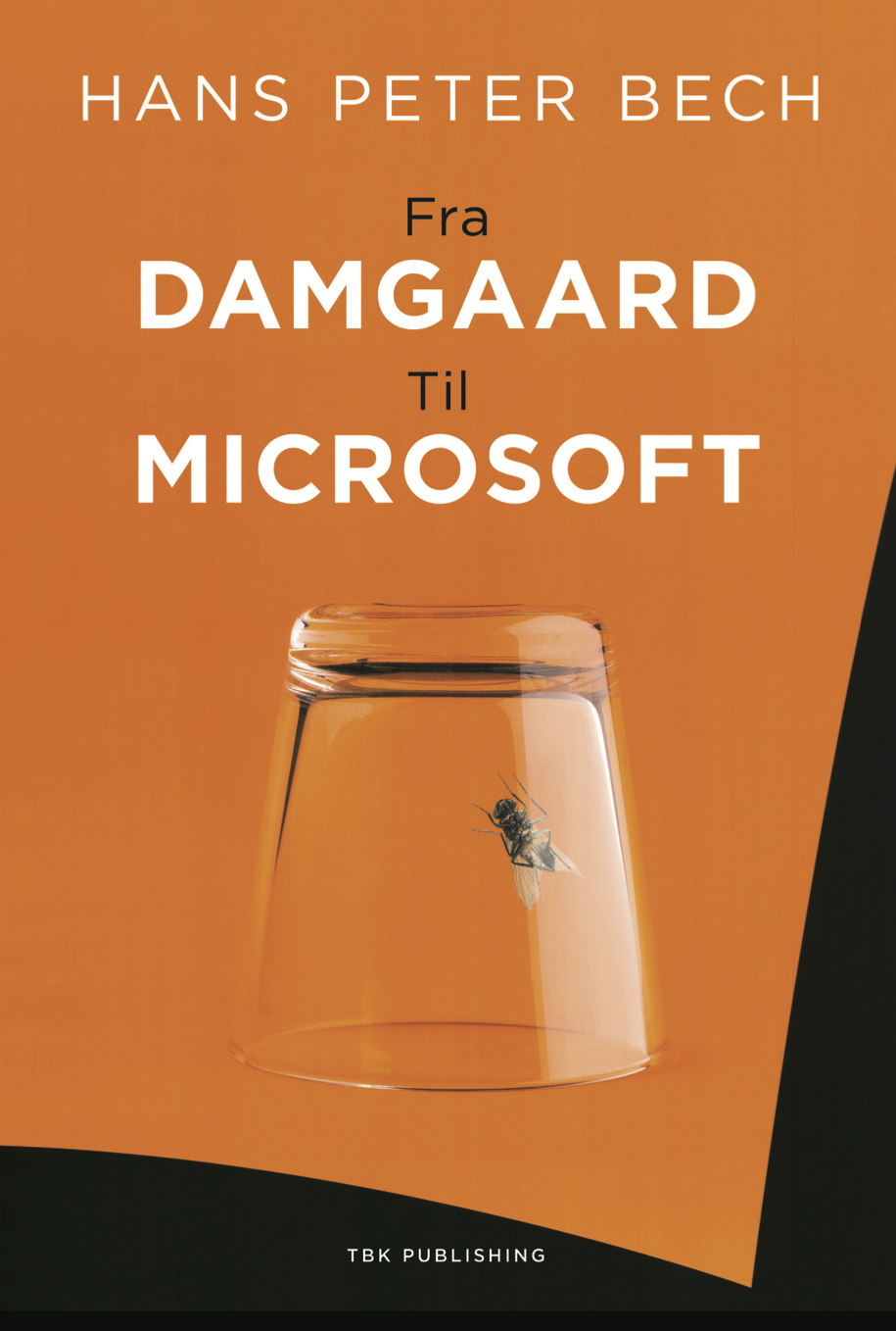 Fra Damgaard til Microsoft