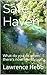 Safe Haven: What do you do when there's nowhere to run?