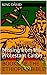 Books of the Ethiopian Bible by Anonymous
