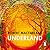 Underland by Robert Macfarlane