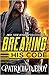 Breaking His Code (Away From Keyboard, #1)