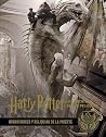 Harry Potter by Jody Revenson