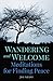 Wandering and Welcome: Medi...