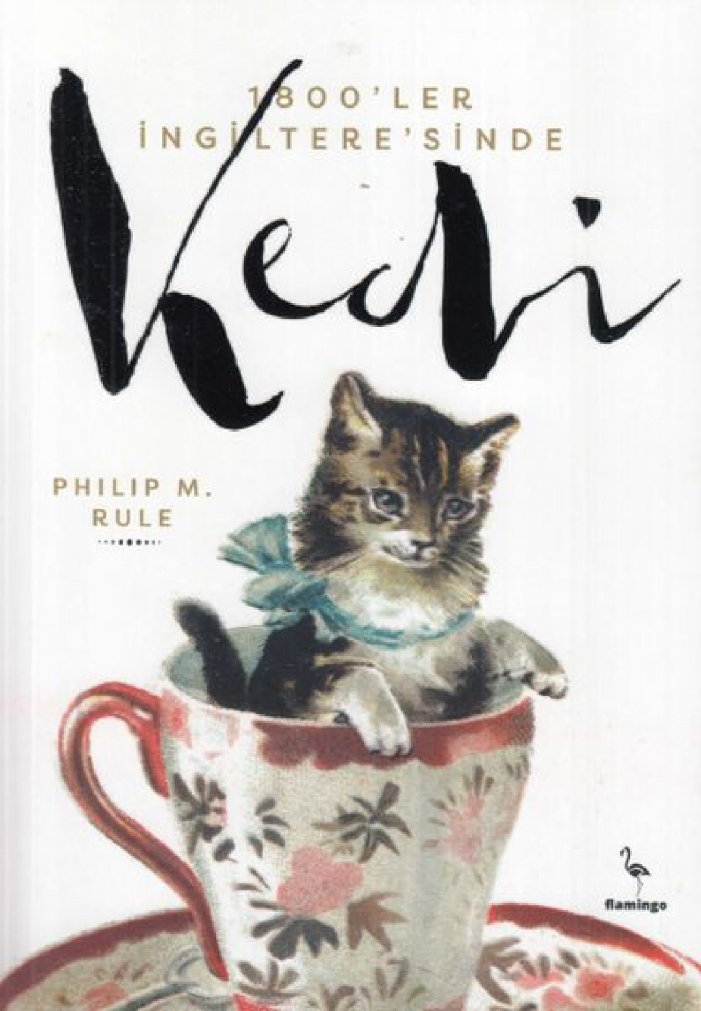 1800'ler İngiltere'sinde Kedi (Paperback)