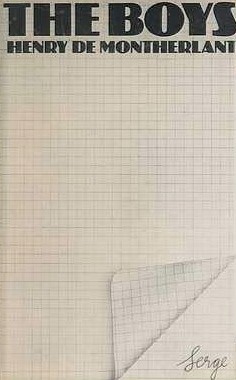 The boys: A novel (Hardcover)