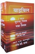 Bible Knowledge Commentary, The (Hindi) 2 Vol. Set