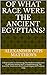 Of What Race Were The Ancient Egyptians?: A Brief Guide To Correcting The Modern Falsification Of Ancient History And To Implementing The Scientific, Historical, And Cultural Legacy Of Cheikh A. Diop