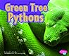 Green Tree Pythons