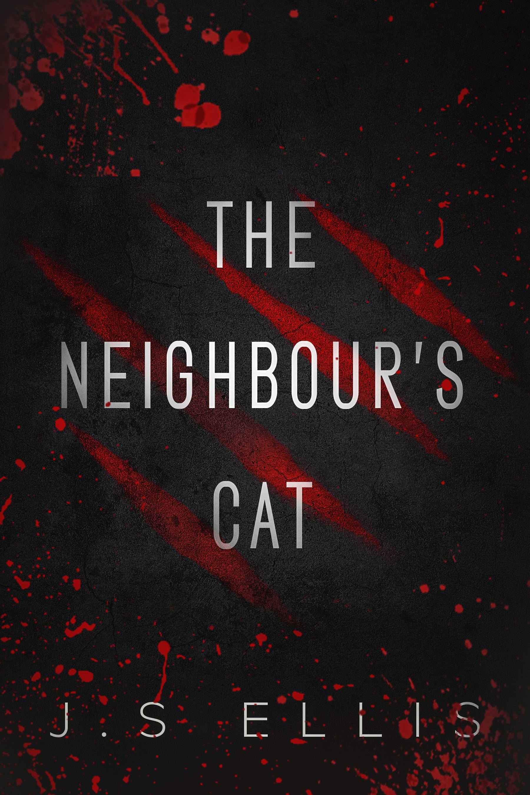 The Neighbour’s Cat: A Short Story