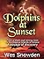Dolphins at Sunset