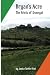 Bryan's Acre. The Friels of Donegal by Janice Tuttle Friel
