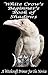 White Crow's Beginner's Book of Shadows by Jennifer Lefering