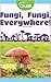 Fungi, Fungi, Everywhere!