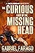 The Curious Case of the Missing Head (Jack Rogan Mysteries, #5)