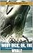 Moby Dick; Or, The Whale