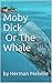 Moby Dick Or The Whale