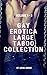 Gay Erotica Large Taboo Collection - Volume 1 - 3 by Lionel Brome