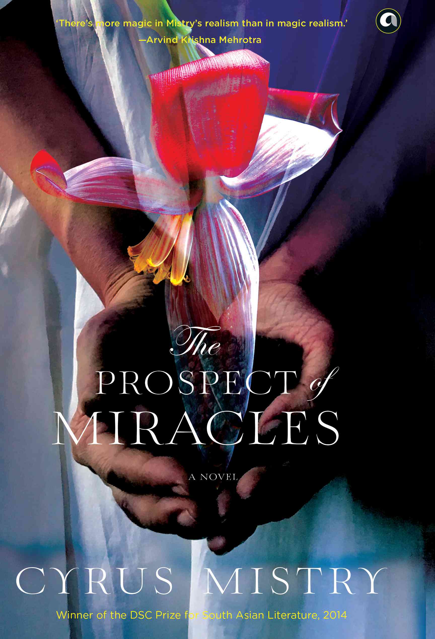 The Prospect of Miracles (Hardcover)