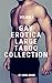 Gay Erotica Large Taboo Collection - Volume 4 by Lionel Brome