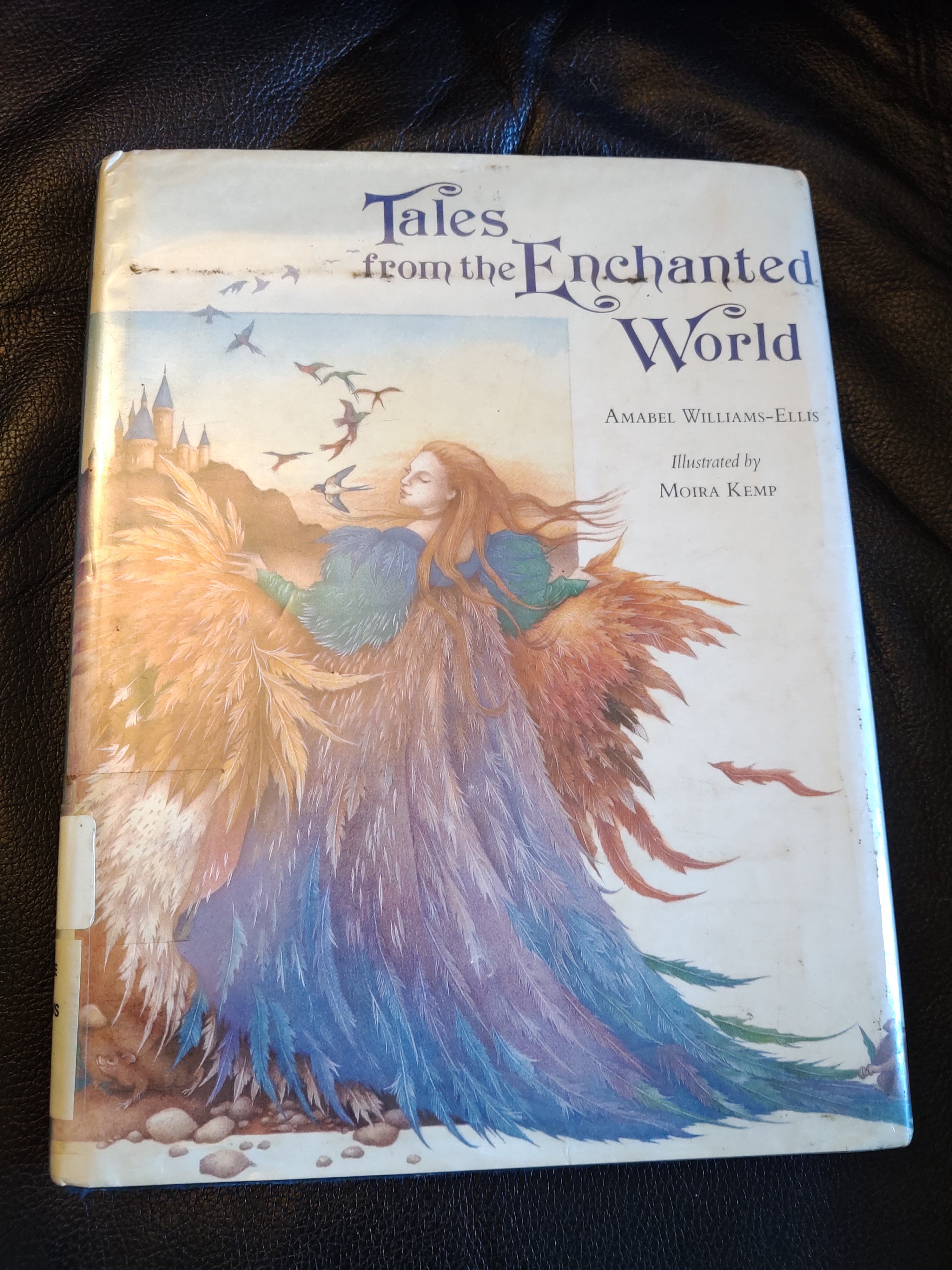 Tales from the Enchanted World (Hardcover)