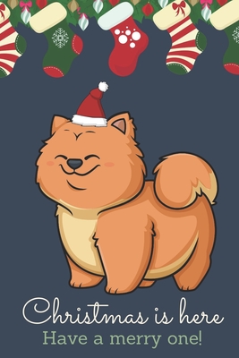 chow chow dressed up