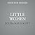 Little Women by Louisa May Alcott