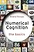 Numerical Cognition