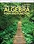 Algebra: Form and Function