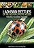 Ladybird Beetles of the Australo-Pacific Region: Coleoptera: Coccinellidae: Coccinellini