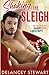 Shaking the Sleigh (Singletree #3)