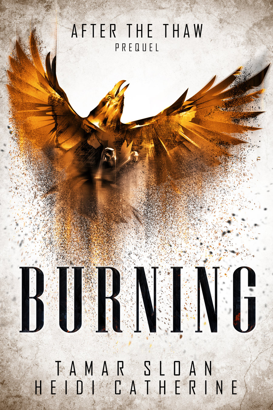 Burning (The Thaw Chronicles, #0.5)